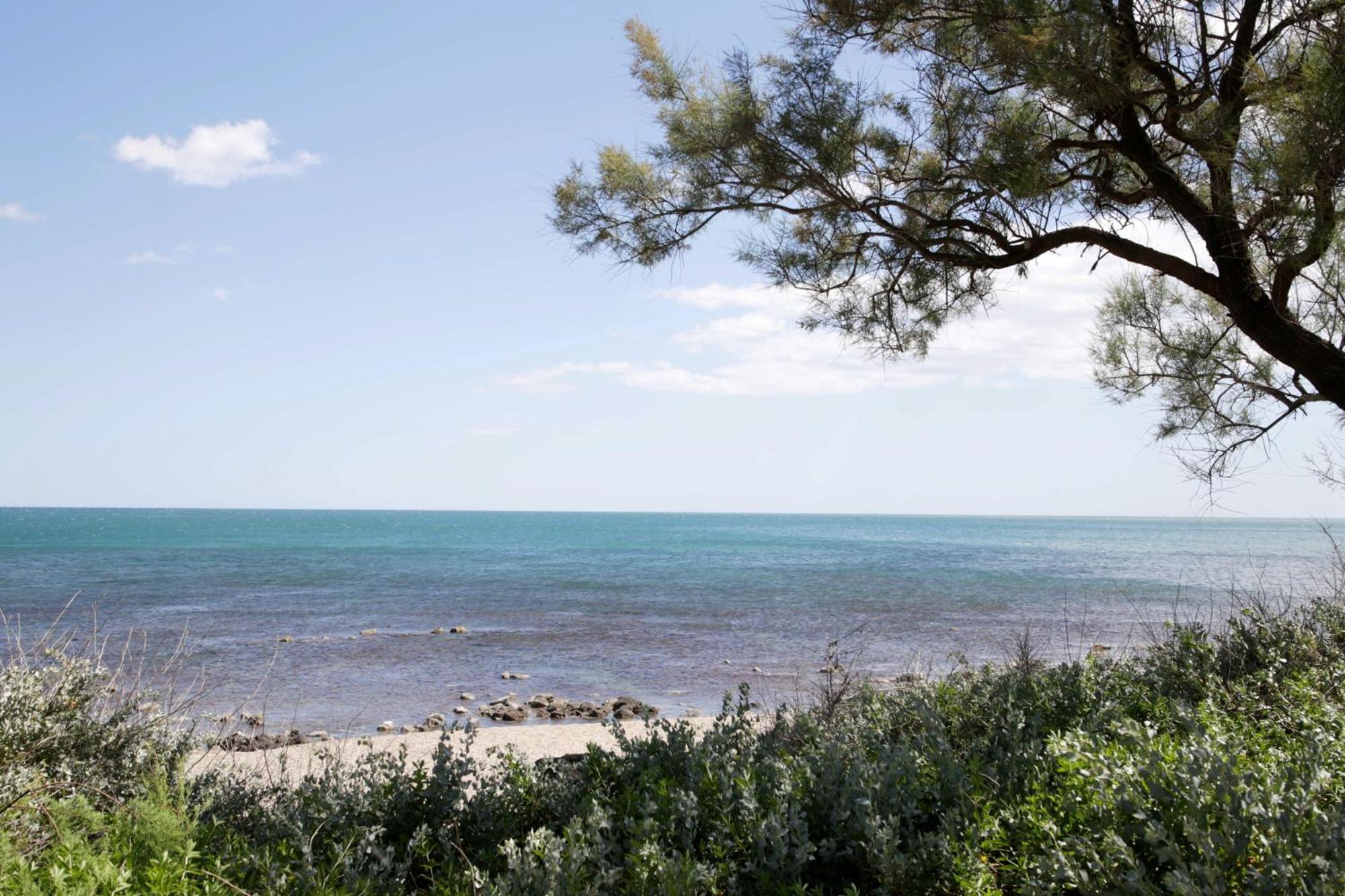 Centre Port,Vue Panoramique,Clim,Balcon,Wifi Agde Exterior foto